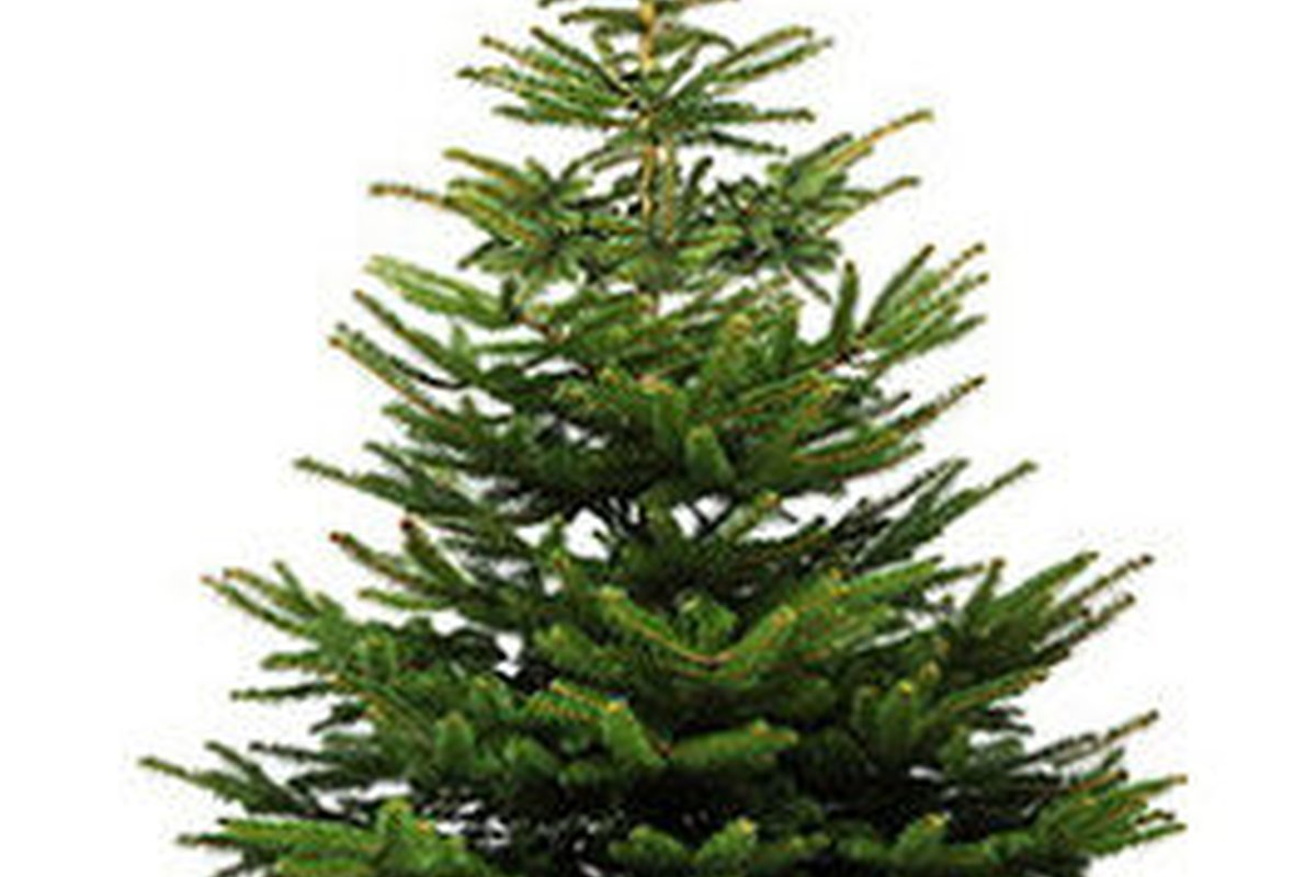 Weihnachtsbaum – Beispiel 3